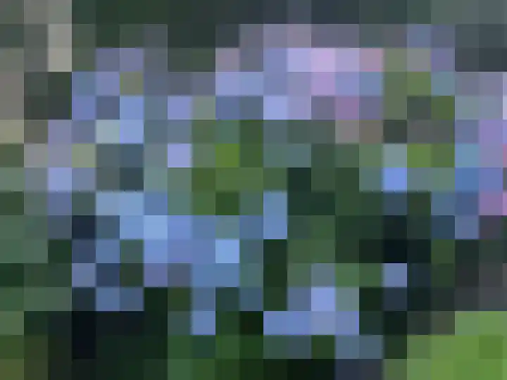 Rueterlaan 4 Laren thumbnail 55