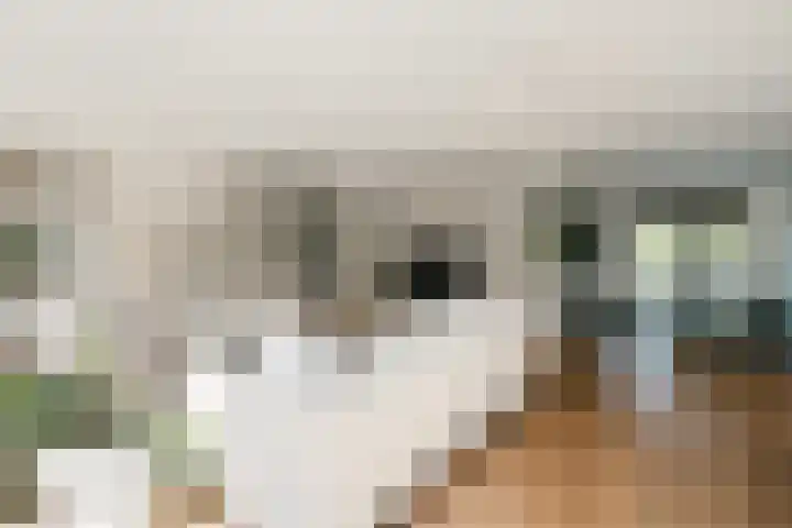 Rueterlaan 5 Laren thumbnail 12