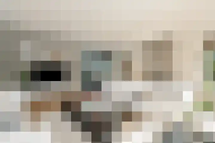 Rueterlaan 5 Laren thumbnail 13