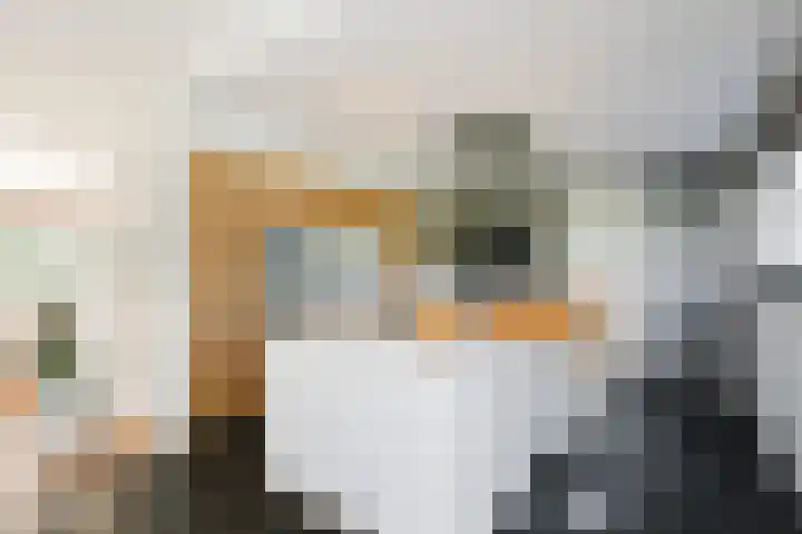 Rueterlaan 5 Laren thumbnail 16