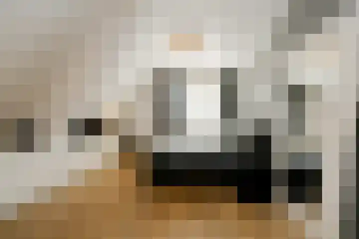 Rueterlaan 5 Laren thumbnail 29