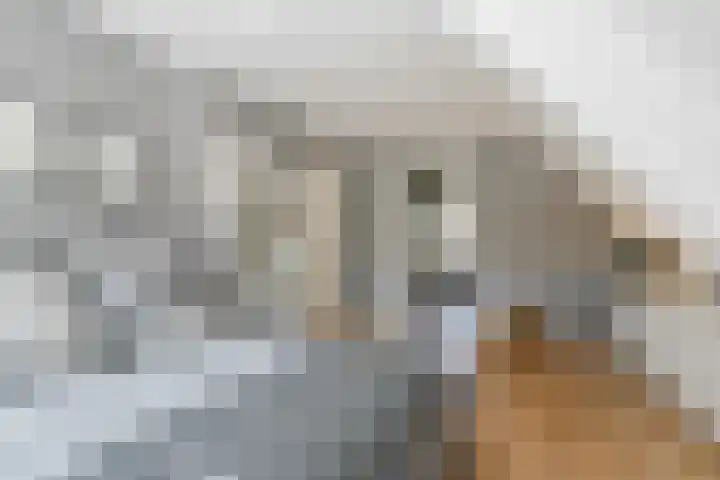 Rueterlaan 5 Laren thumbnail 30
