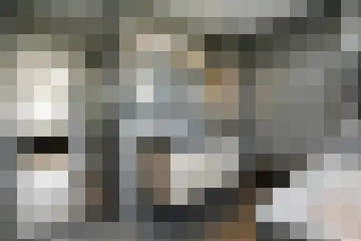 Rueterlaan 5 Laren thumbnail 34