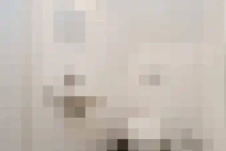 Rueterlaan 5 Laren thumbnail 39