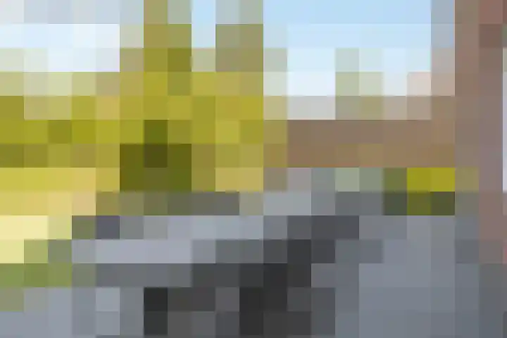 Rueterlaan 5 Laren thumbnail 44