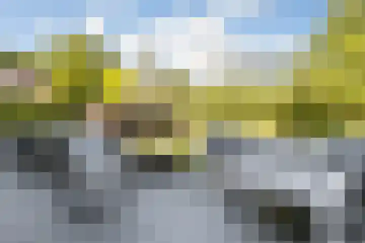 Rueterlaan 5 Laren thumbnail 46