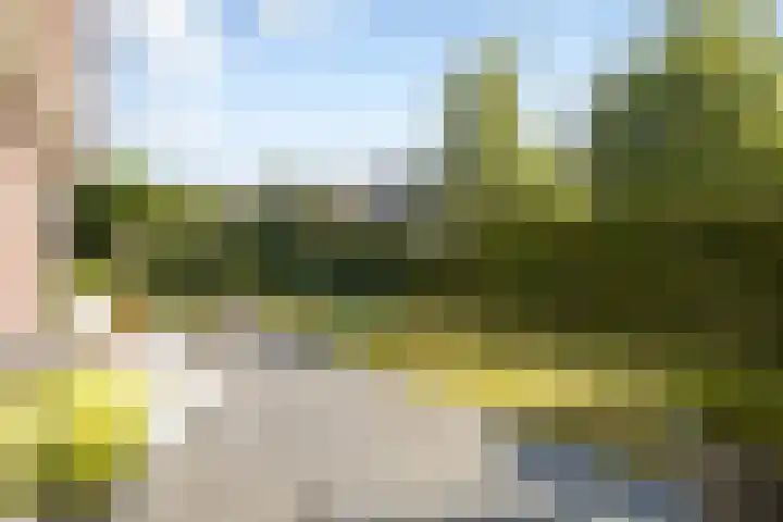 Rueterlaan 5 Laren thumbnail 51