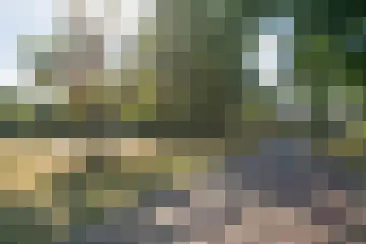 Rueterlaan 5 Laren thumbnail 52