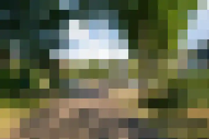 Rueterlaan 5 Laren thumbnail 53