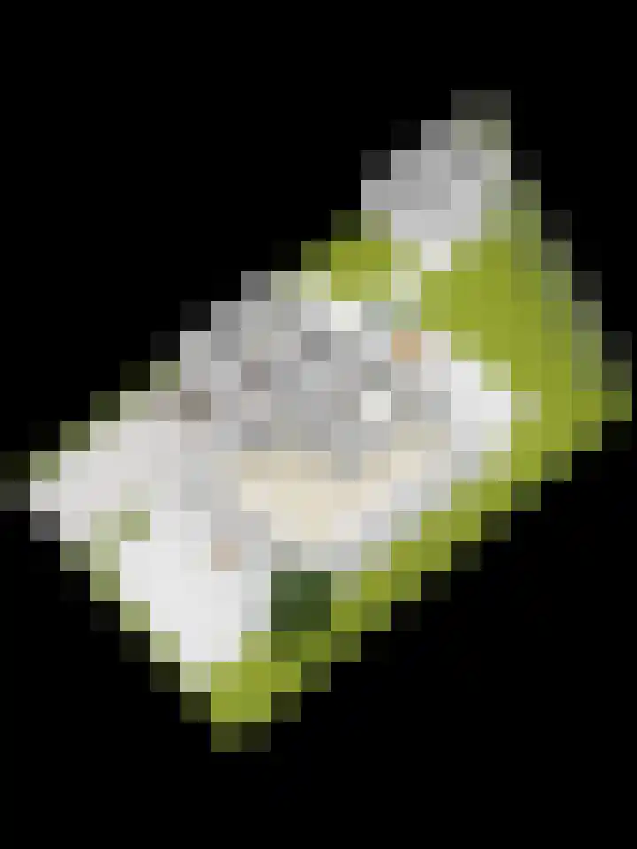 Rueterlaan 5 Laren thumbnail 56