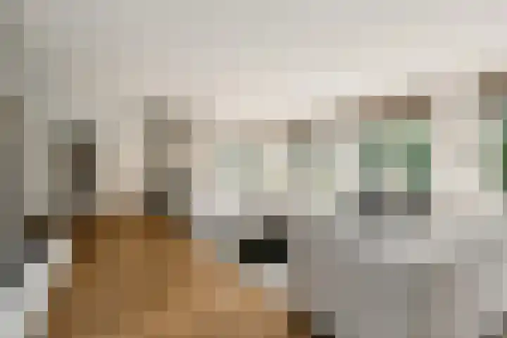 Rueterlaan 5 Laren thumbnail 8