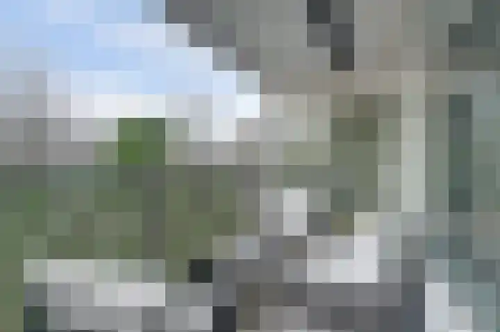 Ruigenburg 27 Gouda thumbnail 12