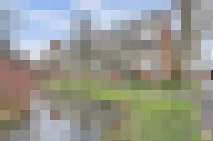 Ruigenburg 27 Gouda thumbnail 31