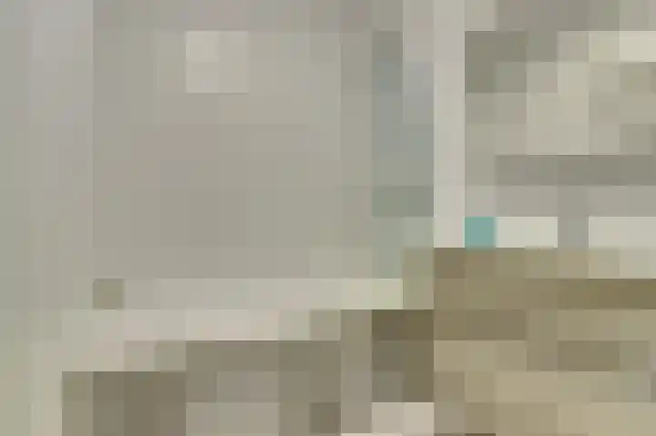 Ruigenburg 27 Gouda thumbnail 4