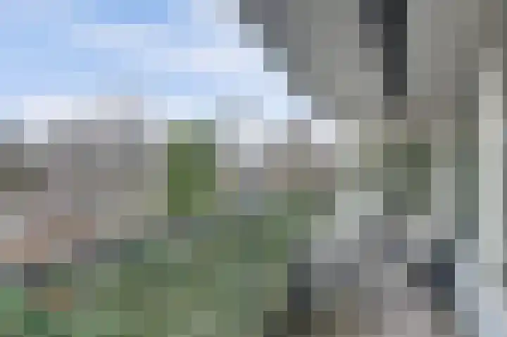 Ruigenburg 27 Gouda thumbnail 5