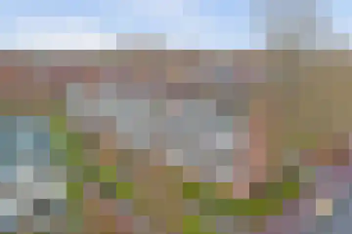 Ruigenburg 27 Gouda thumbnail 6