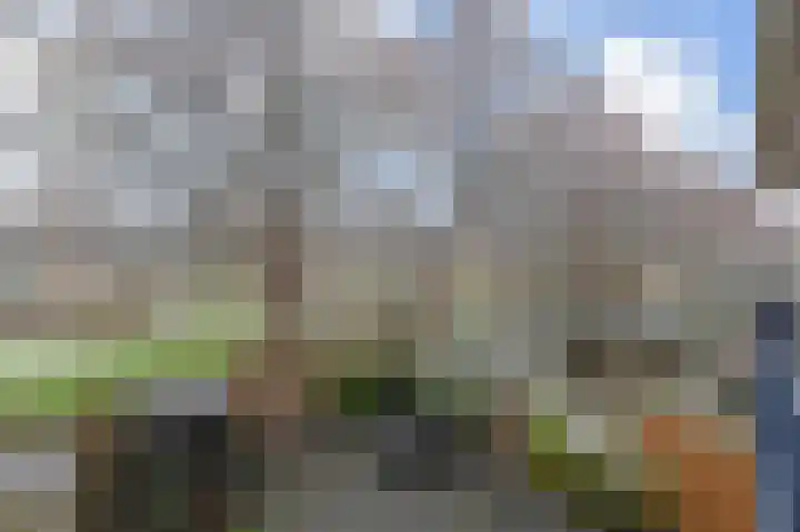 Ruigenburg 81 Gouda thumbnail 16