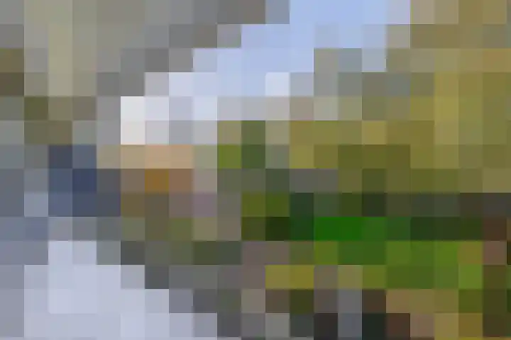 Ruigenburg 97 Gouda thumbnail 12