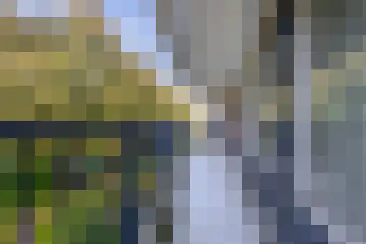 Ruigenburg 97 Gouda thumbnail 13