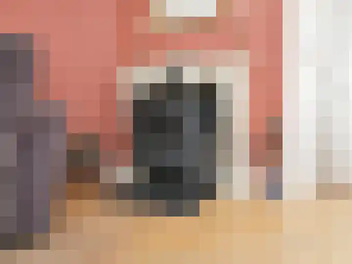 Ruigenhoek 1 De Zilk thumbnail 10