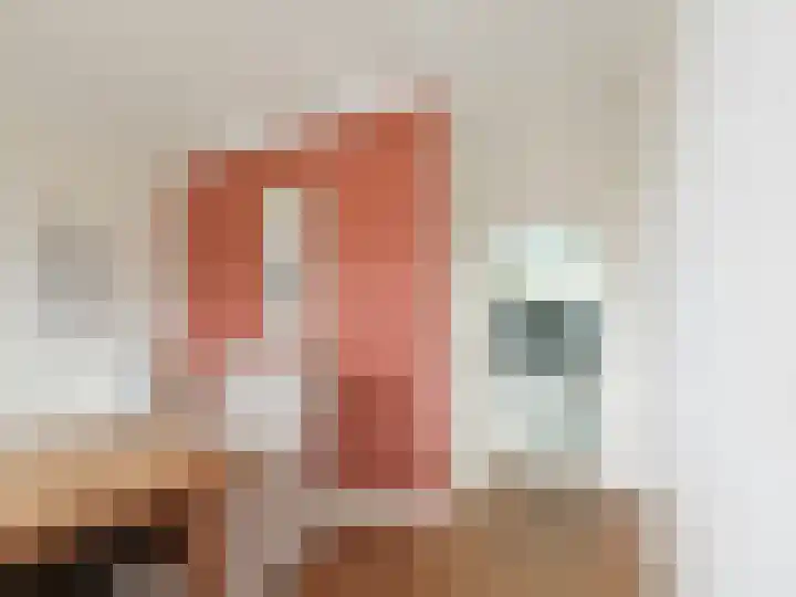 Ruigenhoek 1 De Zilk thumbnail 14