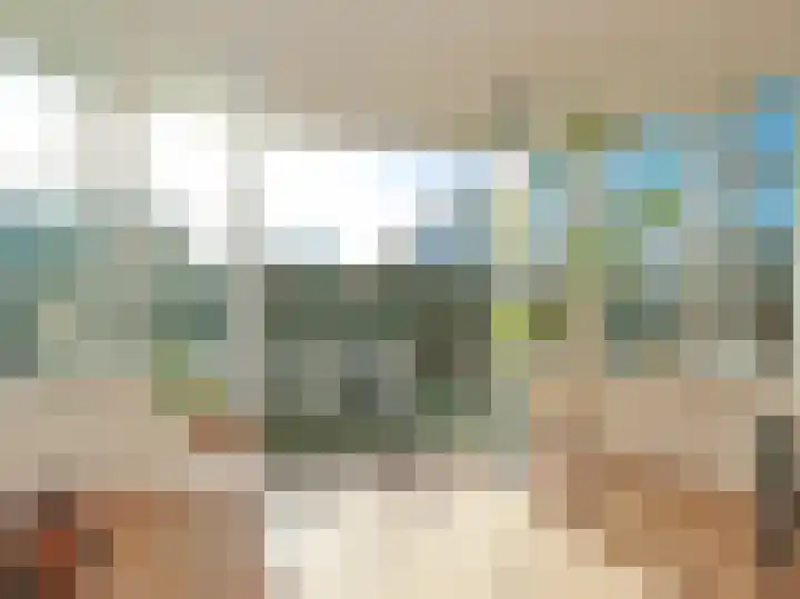 Ruigenhoek 1 De Zilk thumbnail 15