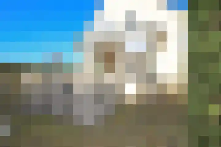 Ruigenhoek 1 De Zilk thumbnail 16