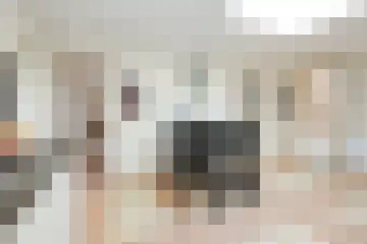 Ruigenhoek 1 De Zilk thumbnail 18