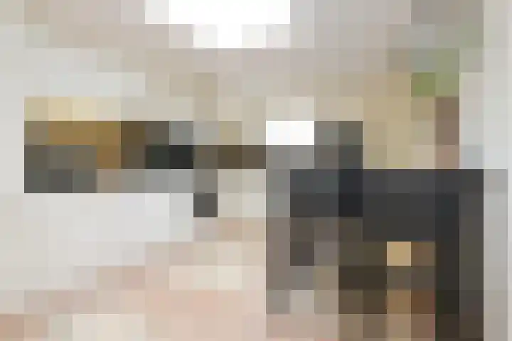 Ruigenhoek 1 De Zilk thumbnail 19