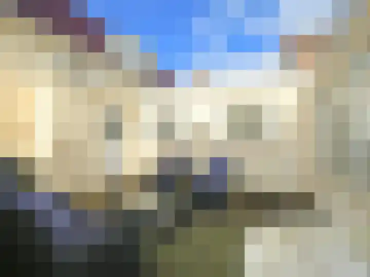 Ruigenhoek 1 De Zilk thumbnail 21