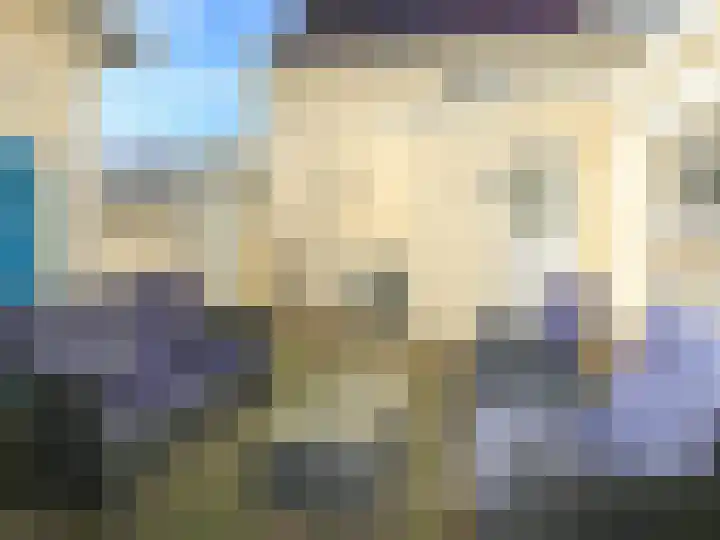 Ruigenhoek 1 De Zilk thumbnail 22