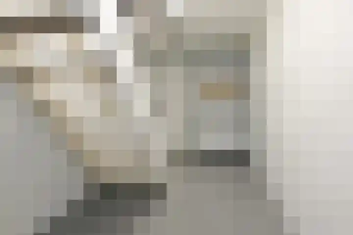 Ruigenhoek 1 De Zilk thumbnail 24