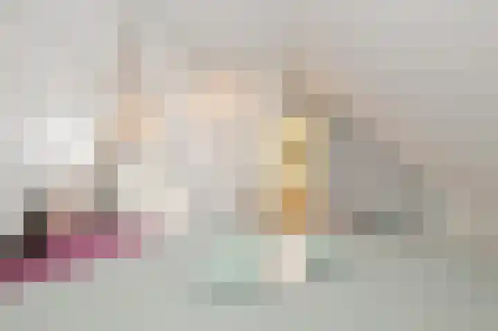 Ruigenhoek 1 De Zilk thumbnail 26