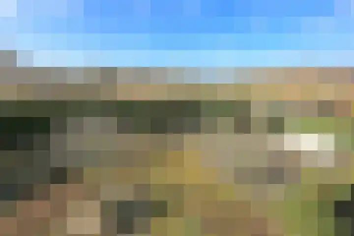 Ruigenhoek 1 De Zilk thumbnail 28