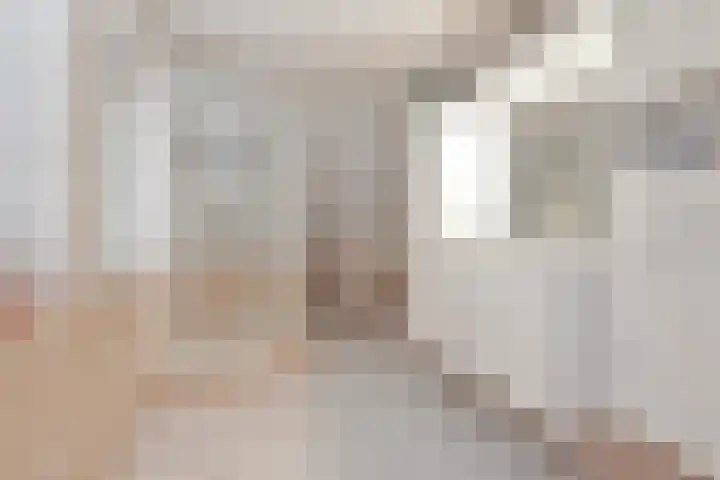 Ruigenhoek 1 De Zilk thumbnail 30