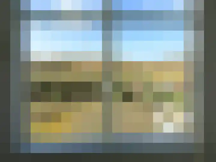 Ruigenhoek 1 De Zilk thumbnail 33