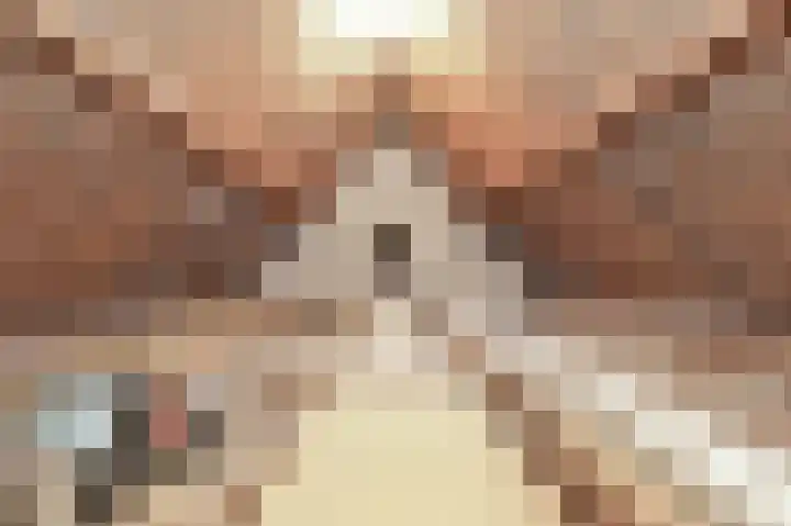 Ruigenhoek 1 De Zilk thumbnail 34