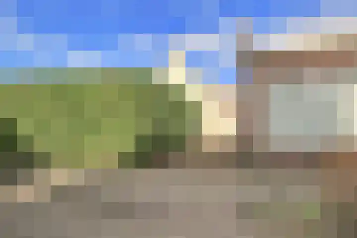 Ruigenhoek 1 De Zilk thumbnail 36