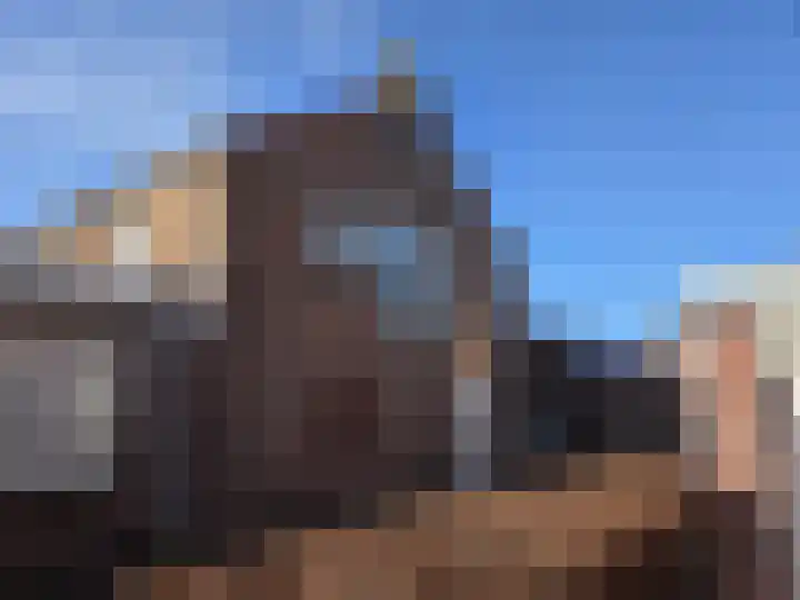 Ruigenhoek 1 De Zilk thumbnail 38