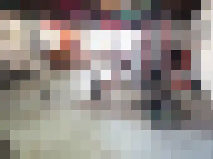 Ruigenhoek 1 De Zilk thumbnail 39