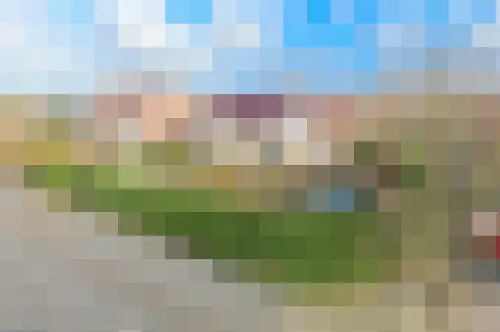 Ruigenhoek 1 De Zilk thumbnail 4