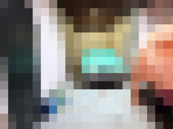 Ruigenhoek 1 De Zilk thumbnail 41