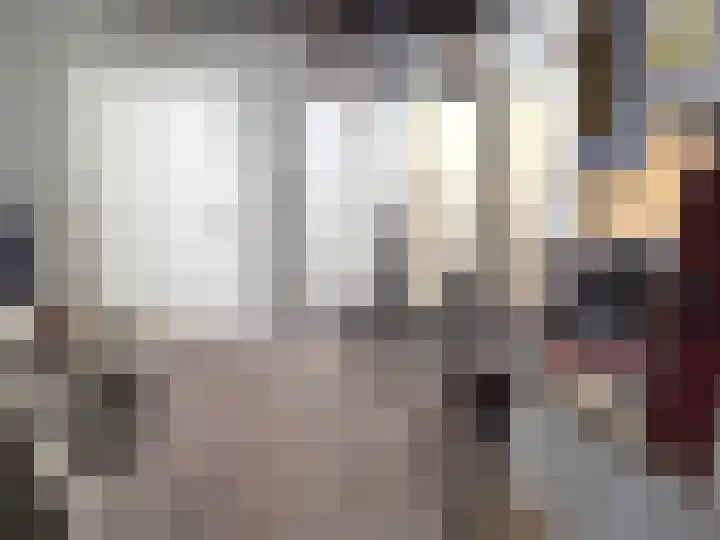 Ruigenhoek 1 De Zilk thumbnail 42