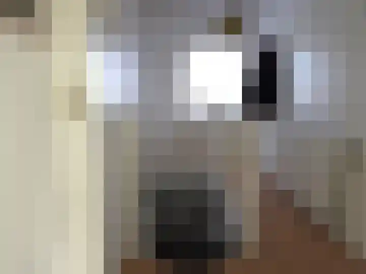Ruigenhoek 1 De Zilk thumbnail 43