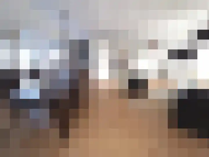 Ruigenhoek 1 De Zilk thumbnail 44