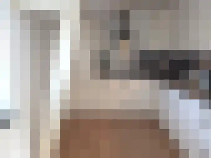 Ruigenhoek 1 De Zilk thumbnail 45