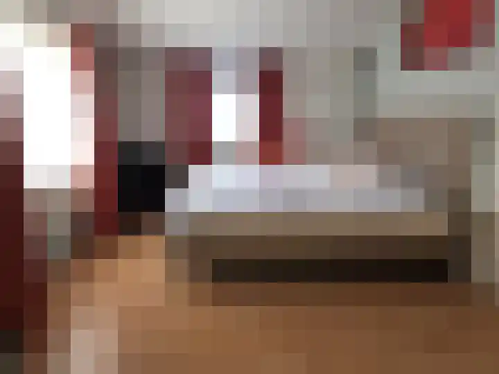 Ruigenhoek 1 De Zilk thumbnail 46