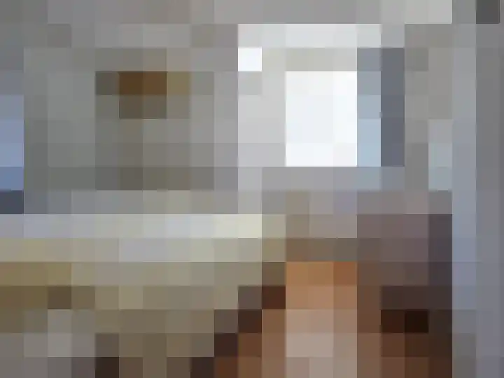 Ruigenhoek 1 De Zilk thumbnail 47