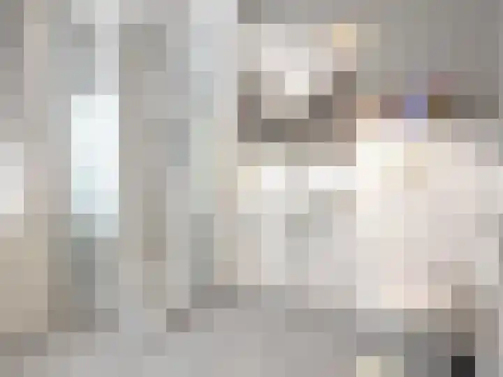 Ruigenhoek 1 De Zilk thumbnail 48