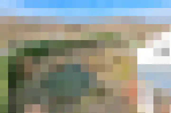 Ruigenhoek 1 De Zilk thumbnail 49